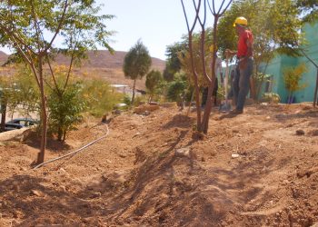 آبیاری قطره ایی در مرکز سروش