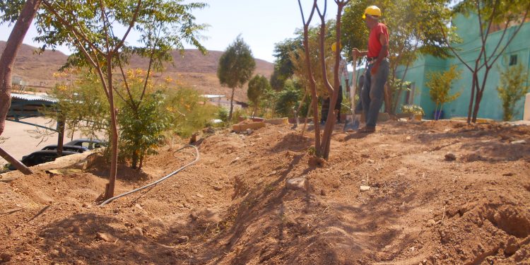 آبیاری قطره ایی در مرکز سروش