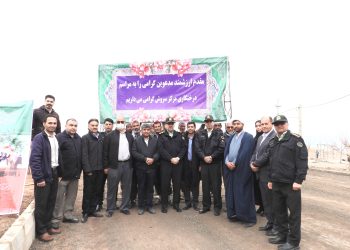 انجام درختکاری در مرکز سروش