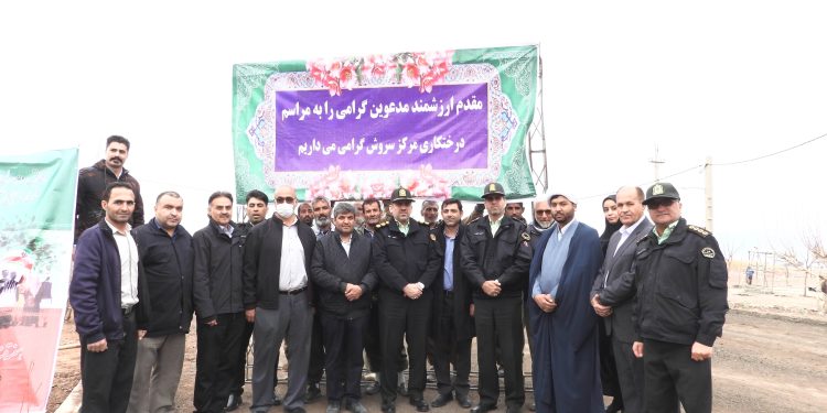 انجام درختکاری در مرکز سروش