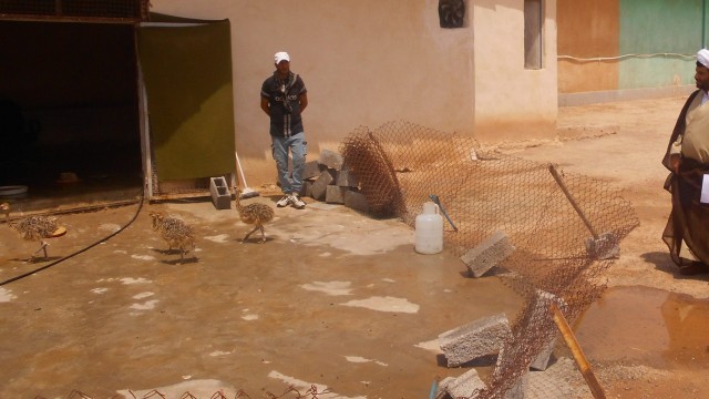 بازدید جناب حسین زاده سرپرست دادسرای عمومی انقلاب ناحیه 24 تهران
از مرکز سروش بازدید سرپرست دادسرای عمومی ناحیه 24